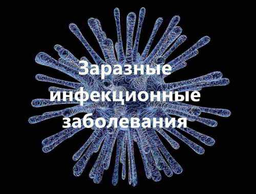 разные активы приносят разные доходы